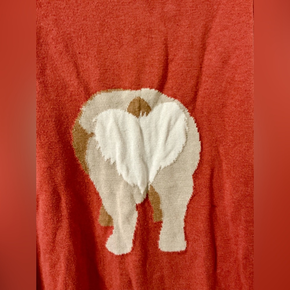 Time and Tru Rust Red Corgi Sweater with Crown - Picture 3 of 5